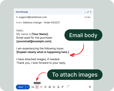 Screenshot showing email body